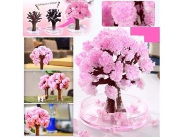 Sakura Magic Tree